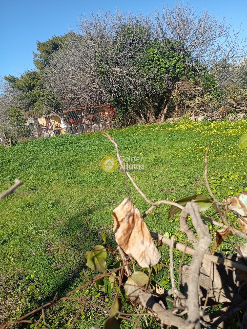 Parcel in Ikismos Aiolos, Rafina — Photo 3 of 3