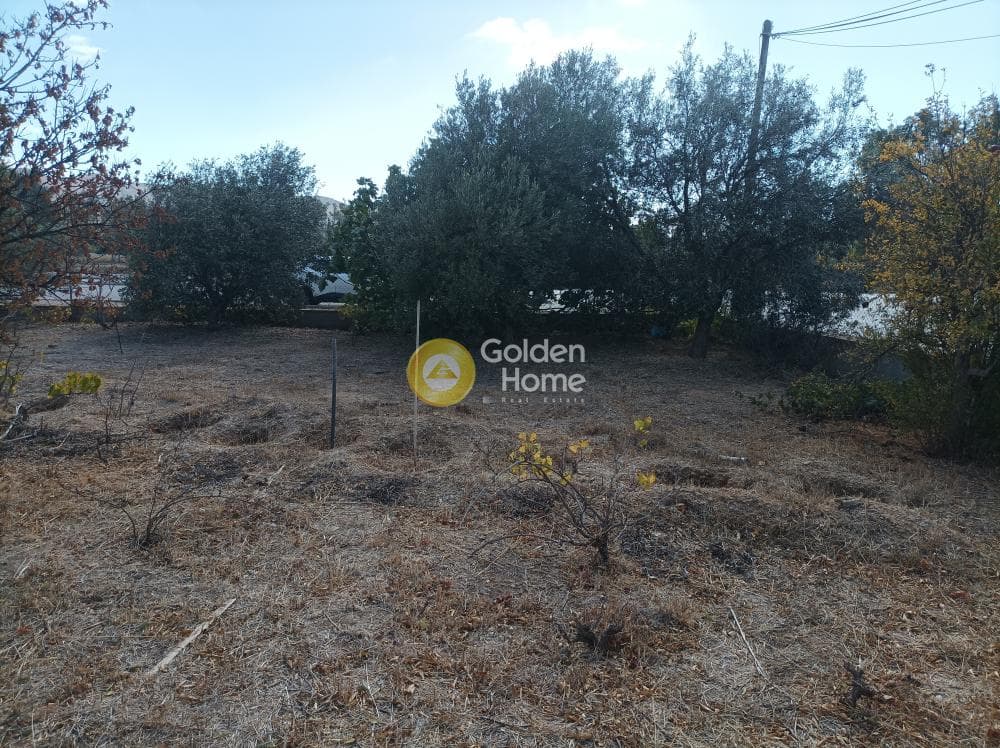 Building Plot in Rountzeri Lemprou, Keratea — Photo 6 of 7