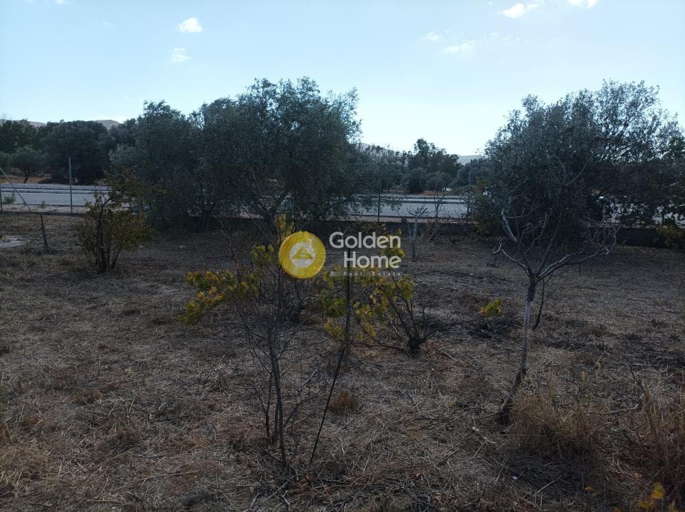 Building Plot in Rountzeri Lemprou, Keratea — Photo 7 of 7
