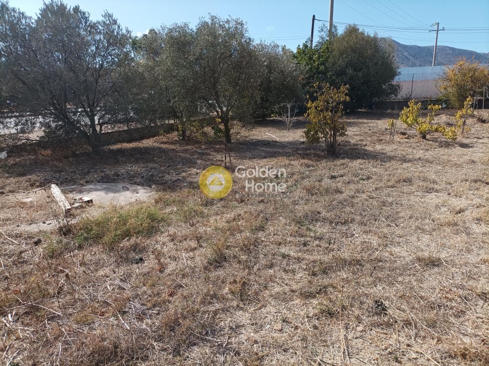 Building Plot in Rountzeri Lemprou, Keratea — Photo 4 of 7