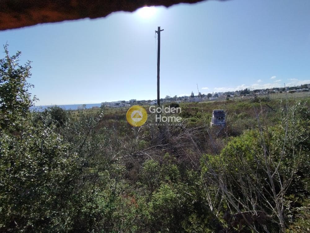Οικόπεδο στην Μάτι, Ραφήνα — Φωτογραφία 4 από 25