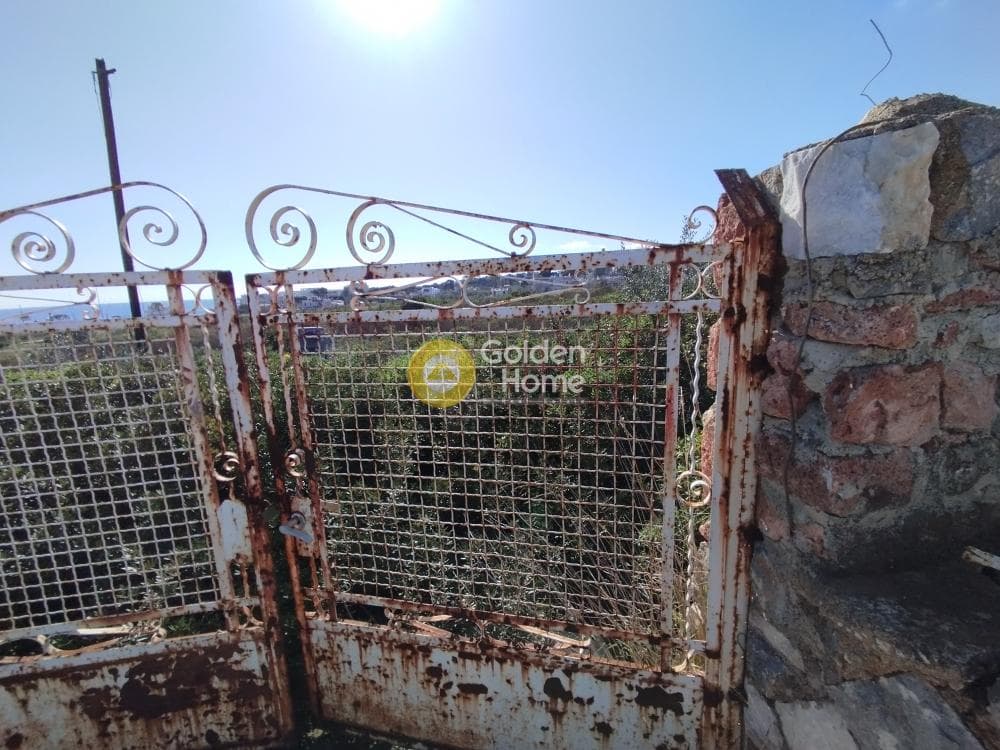Οικόπεδο στην Μάτι, Ραφήνα — Φωτογραφία 10 από 25