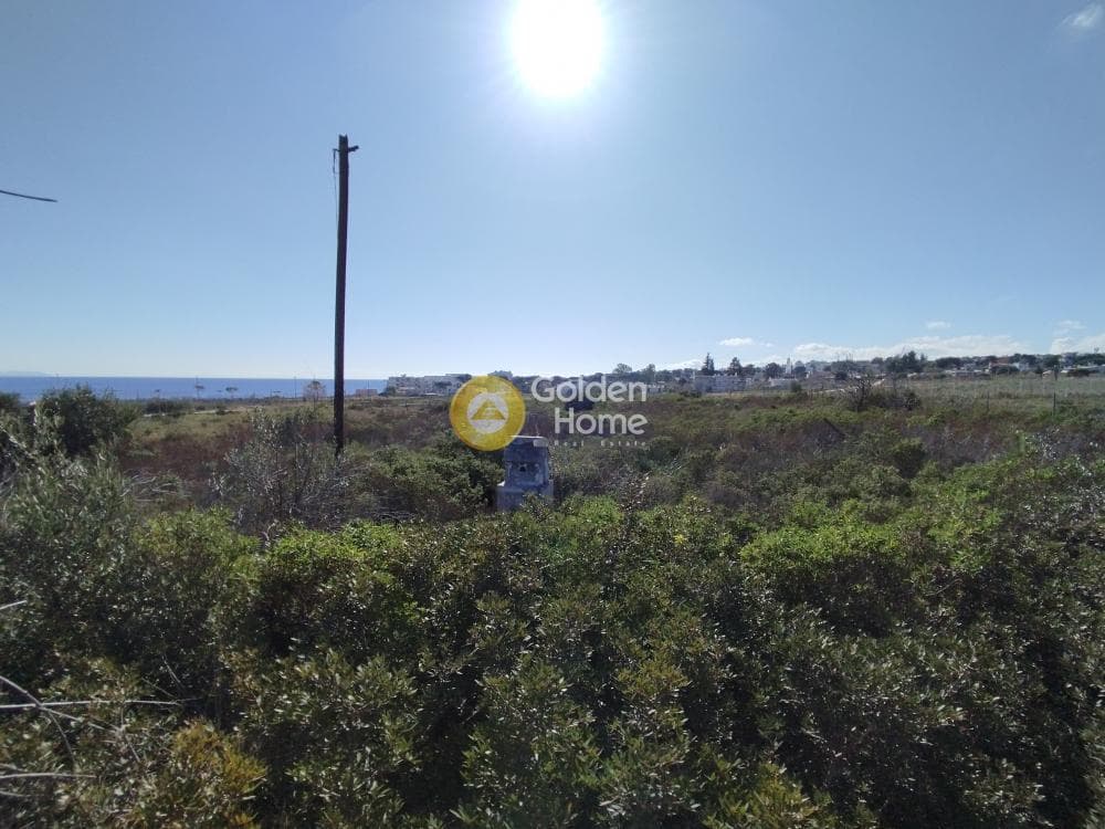 Οικόπεδο στην Μάτι, Ραφήνα — Φωτογραφία 13 από 25