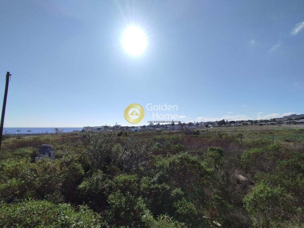 Οικόπεδο στην Μάτι, Ραφήνα — Φωτογραφία 14 από 25