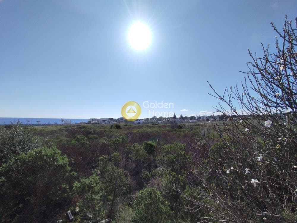Οικόπεδο στην Μάτι, Ραφήνα — Φωτογραφία 15 από 25