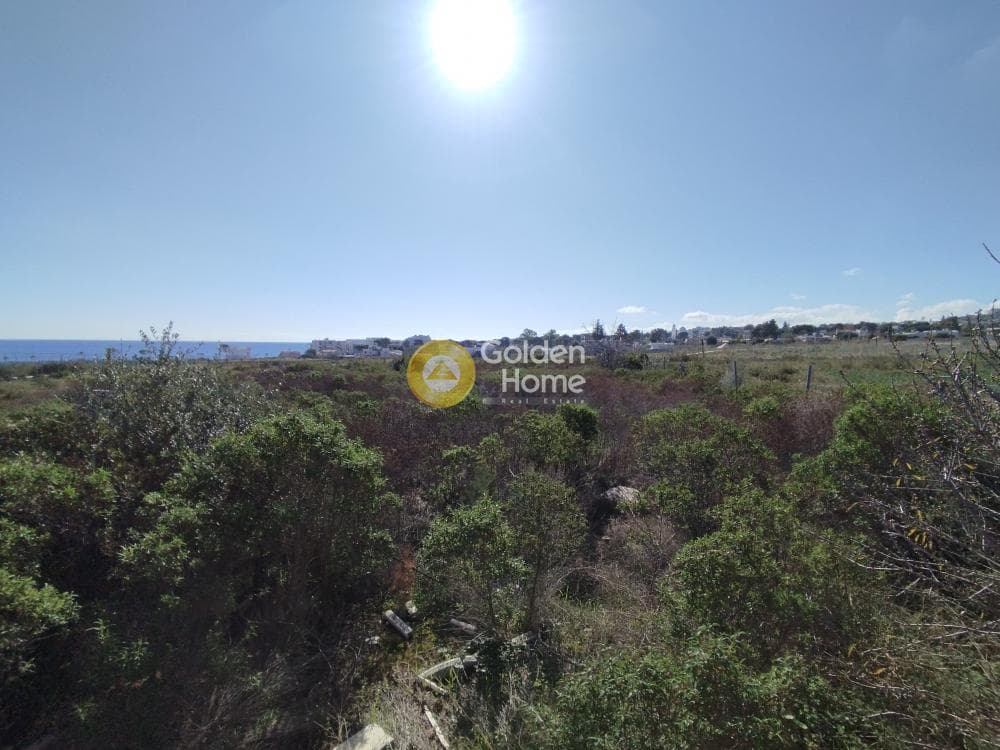Οικόπεδο στην Μάτι, Ραφήνα — Φωτογραφία 16 από 25