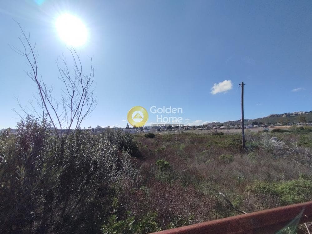 Οικόπεδο στην Μάτι, Ραφήνα — Φωτογραφία 23 από 25