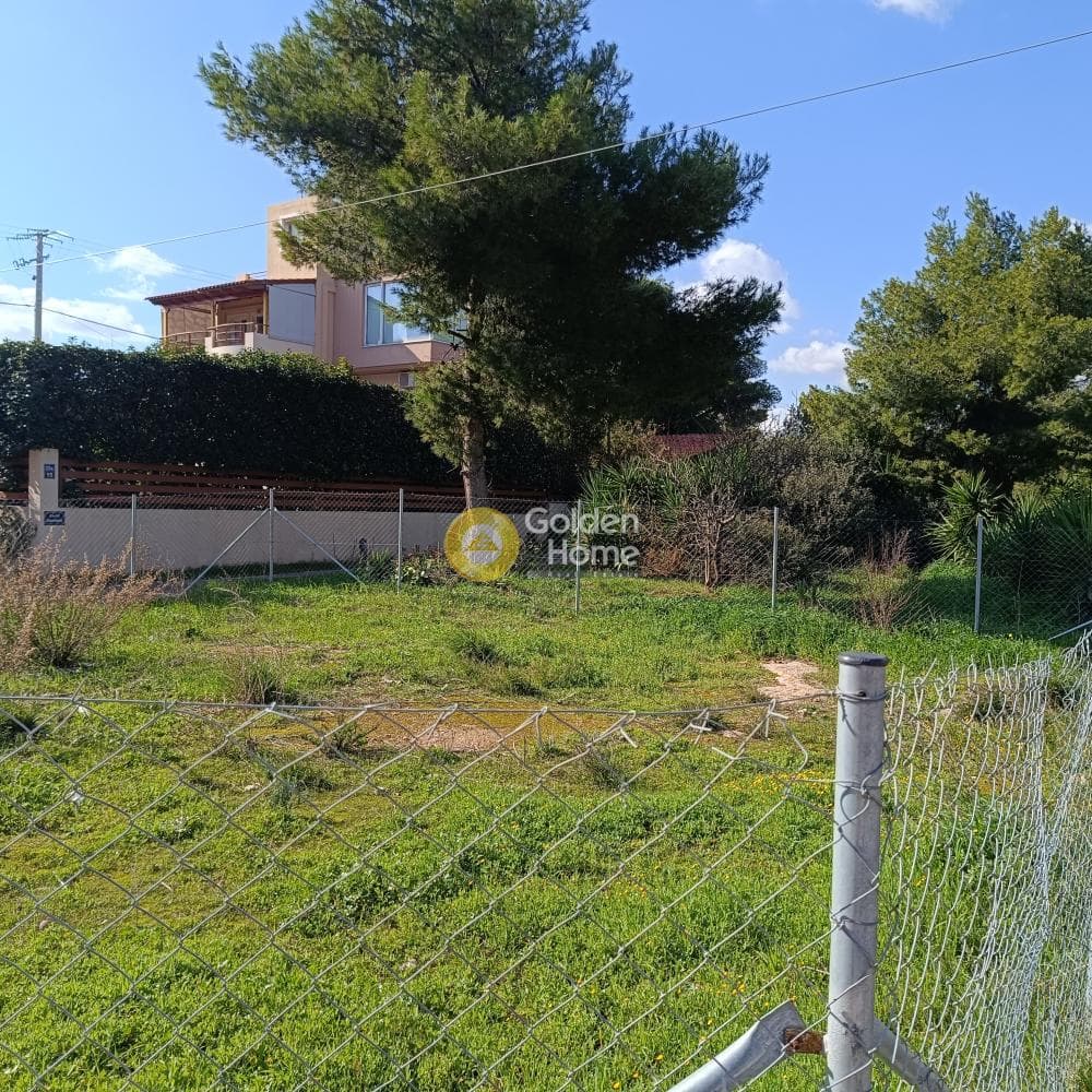 Οικόπεδο στην Άγιος Σεραφείμ, Αρτέμιδα (Λούτσα) — Φωτογραφία 4 από 4