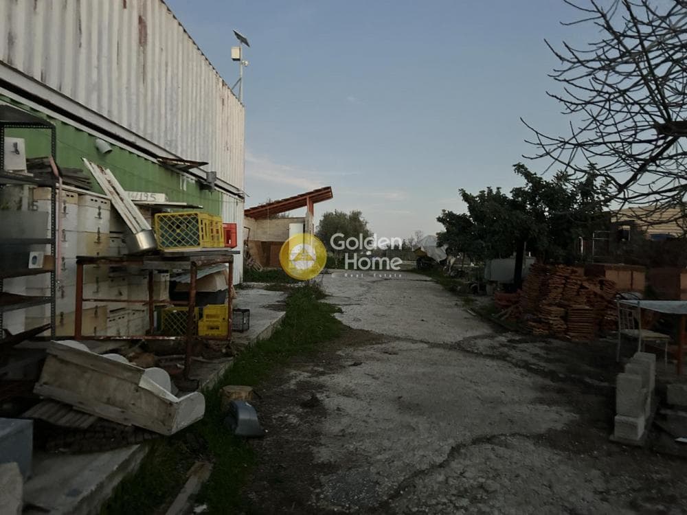 Parcel in Neapoli, Spata — Photo 1 of 6