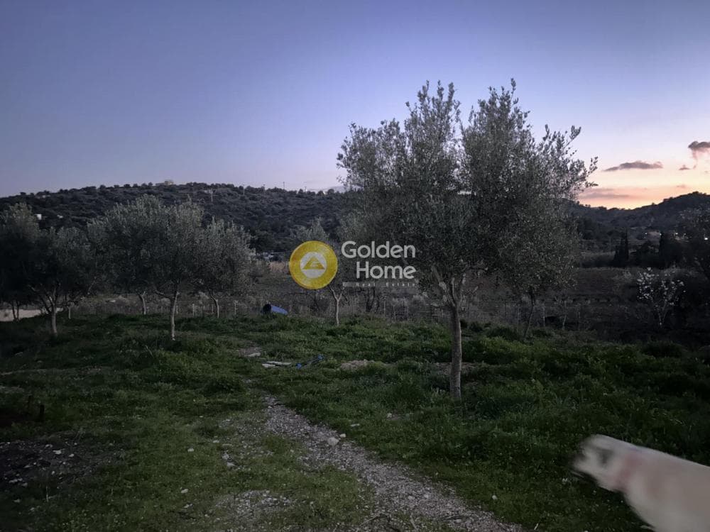 Parcel in Neapoli, Spata — Photo 2 of 6