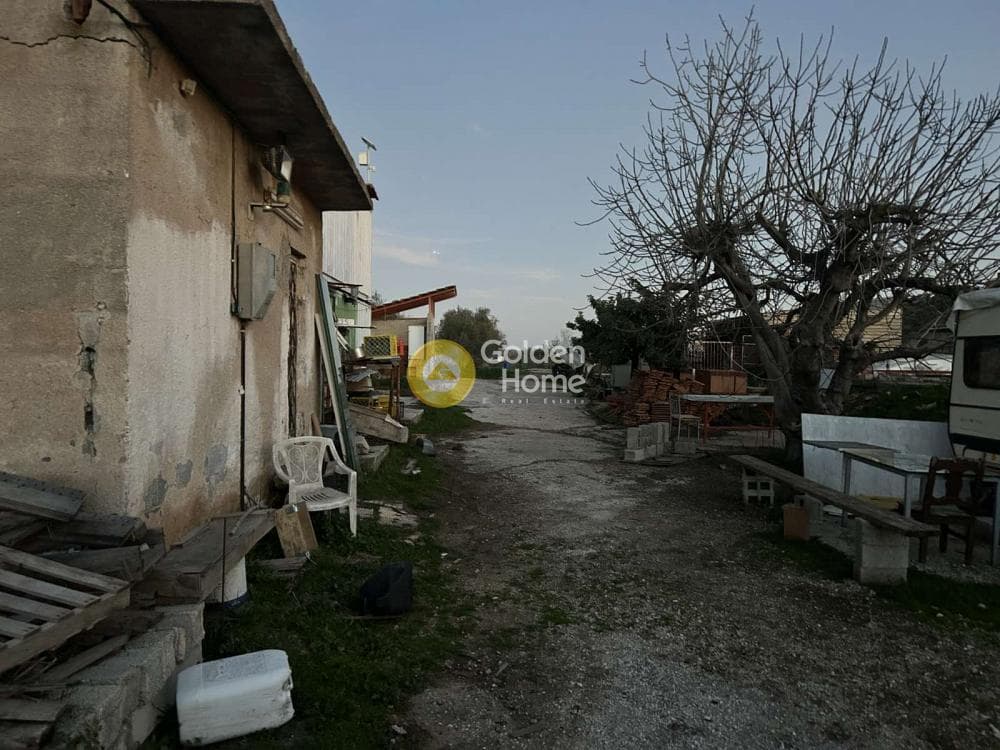 Parcel in Neapoli, Spata — Photo 3 of 6