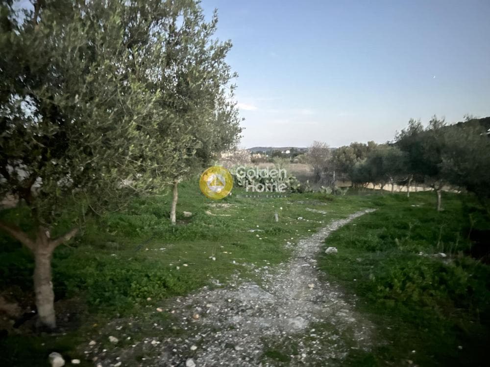 Parcel in Neapoli, Spata — Photo 4 of 6