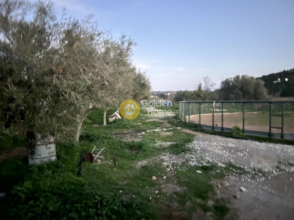 Parcel in Neapoli, Spata — Photo 6 of 6