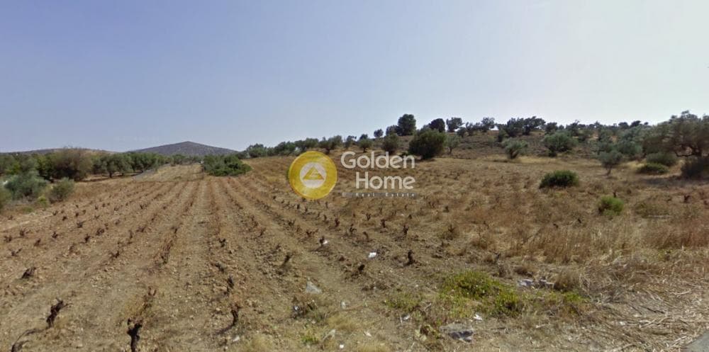 Building Plot in Industrial area, Koropi — Photo 3 of 4