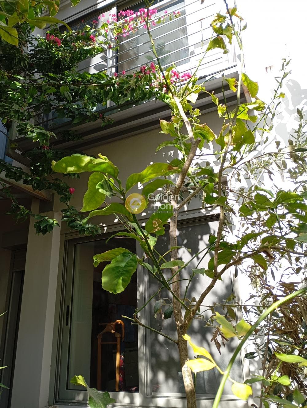 Apartment in Panormou, Goudi — Photo 17 of 27
