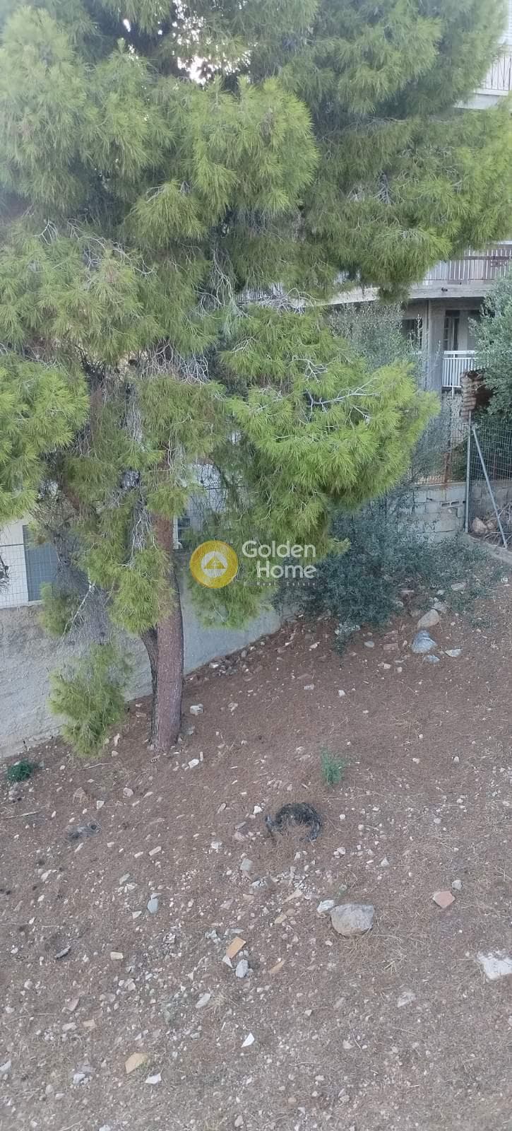 Building Plot in Giala, Salamina — Photo 3 of 3