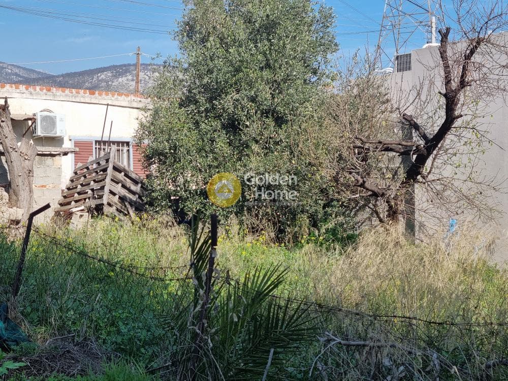 Οικόπεδο στην Άγιος Ιωάννης Θεολόγος, Άνω Λιόσια — Φωτογραφία 7 από 8