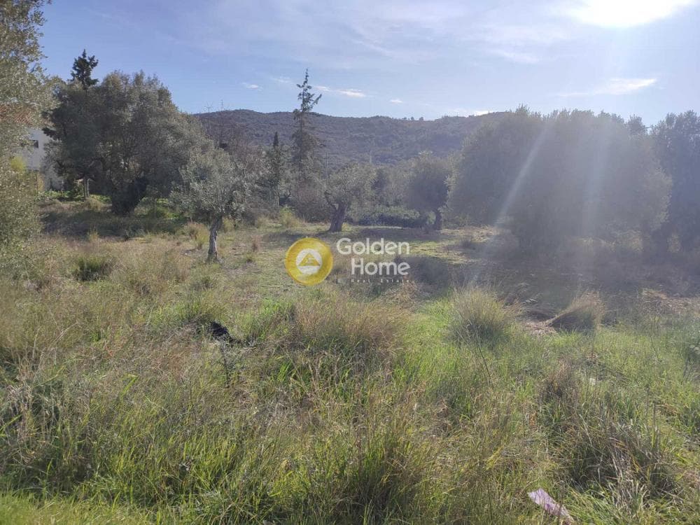 Αγροτεμάχιο στην Αγία Μαρίνα, Παιανία — Φωτογραφία 1 από 2