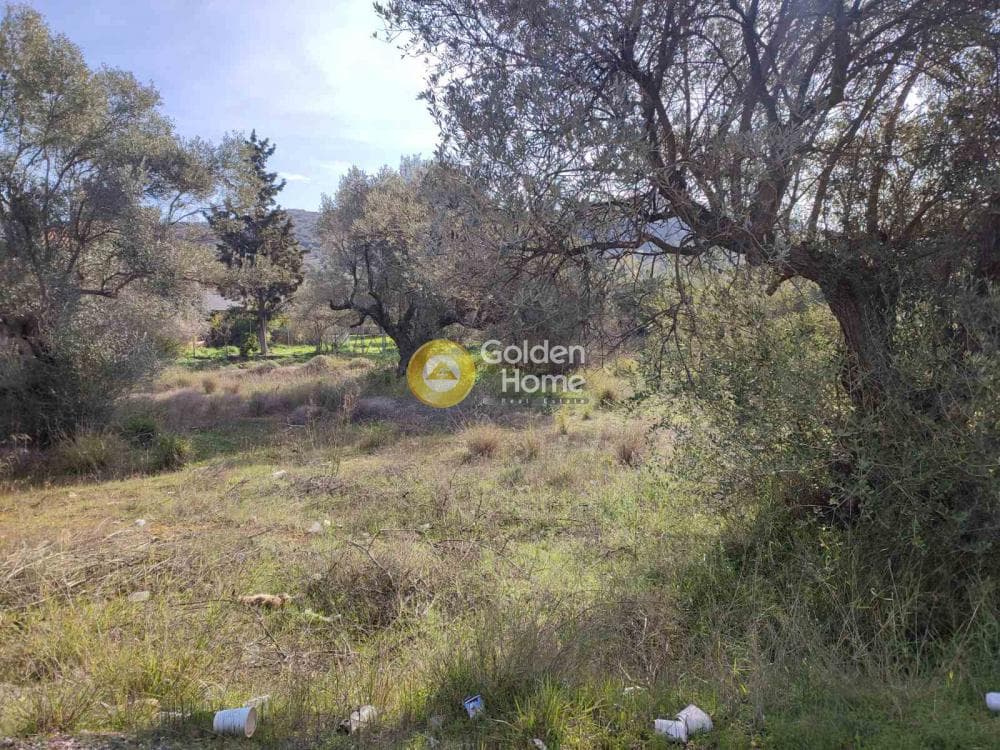 Αγροτεμάχιο στην Αγία Μαρίνα, Παιανία — Φωτογραφία 2 από 2
