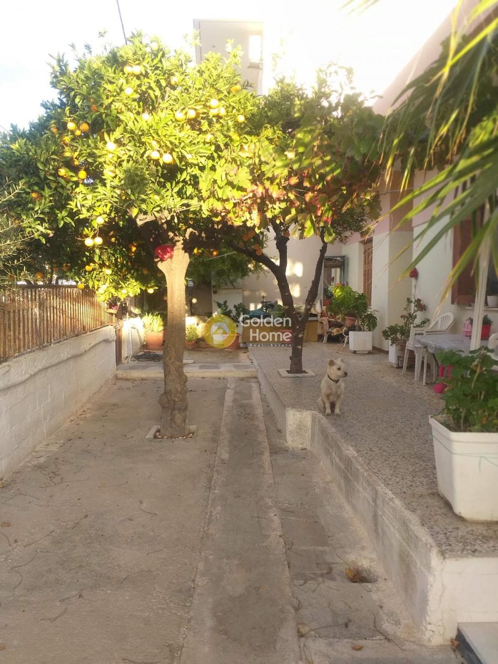 Building Plot in Venio Daskaleiou, Keratea — Photo 2 of 2