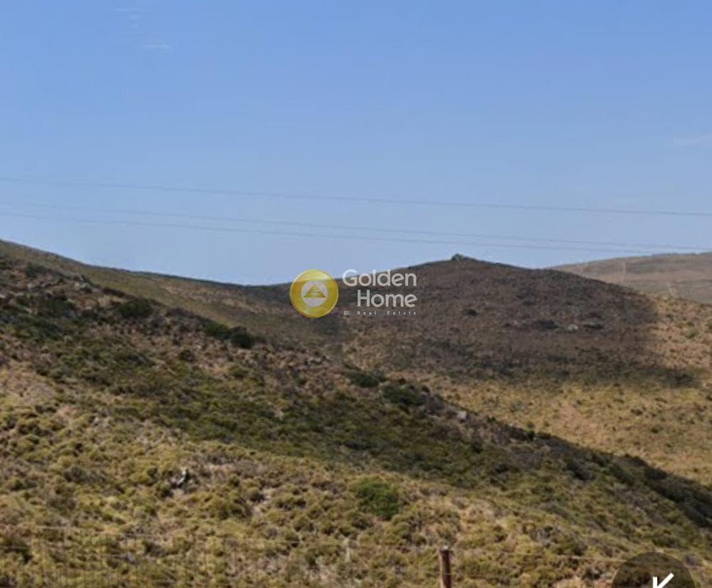 Αγροτεμάχιο στην Άνω Γαύριο, Άνδρος