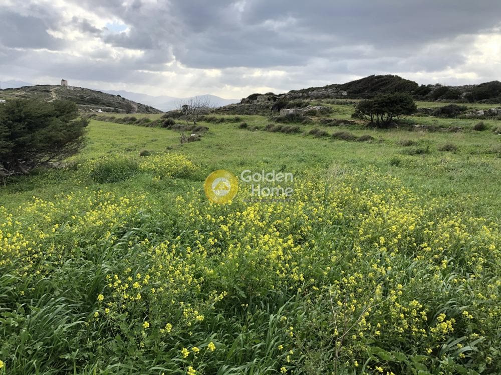 Αγροτεμάχιο στην Κώστος, Πάρος — Φωτογραφία 1 από 6