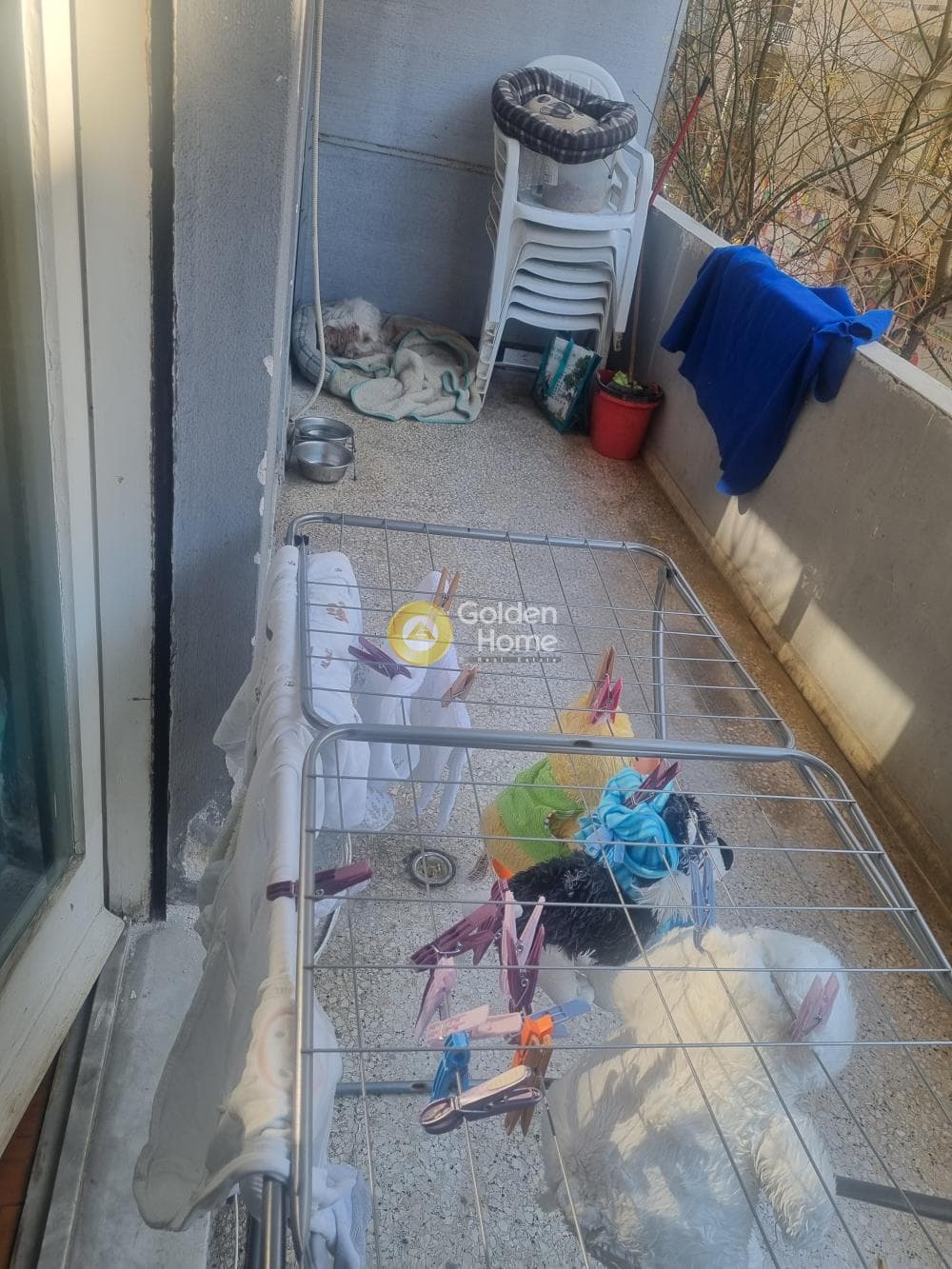 Apartment in Plateia Koliatsou, Patision - Acharnon — Photo 21 of 21
