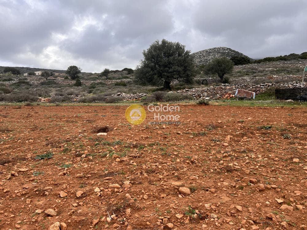Parcel in Aneratza, Paros — Photo 18 of 42