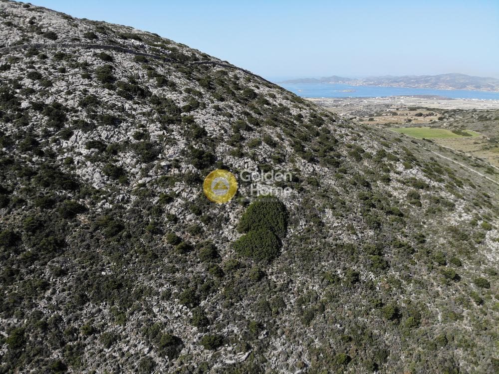 Parcel in Aneratza, Paros — Photo 40 of 42