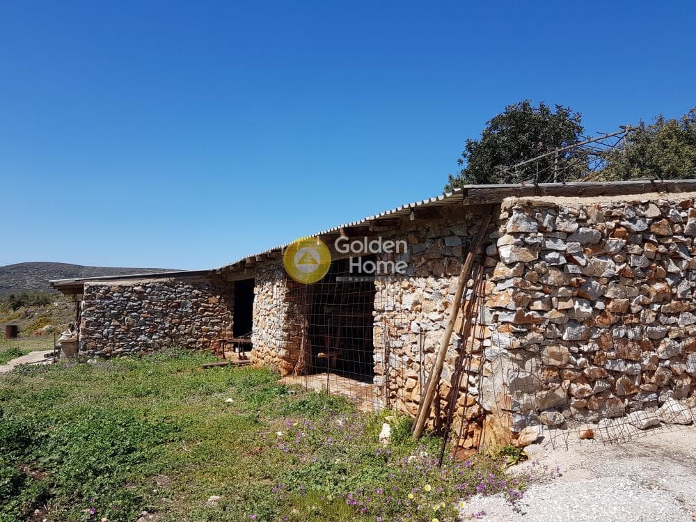 Parcel in Aneratza, Paros — Photo 41 of 42