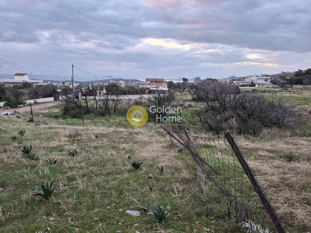 Building Plot in Kalivia, Kalivia Thorikou — Photo 2 of 4