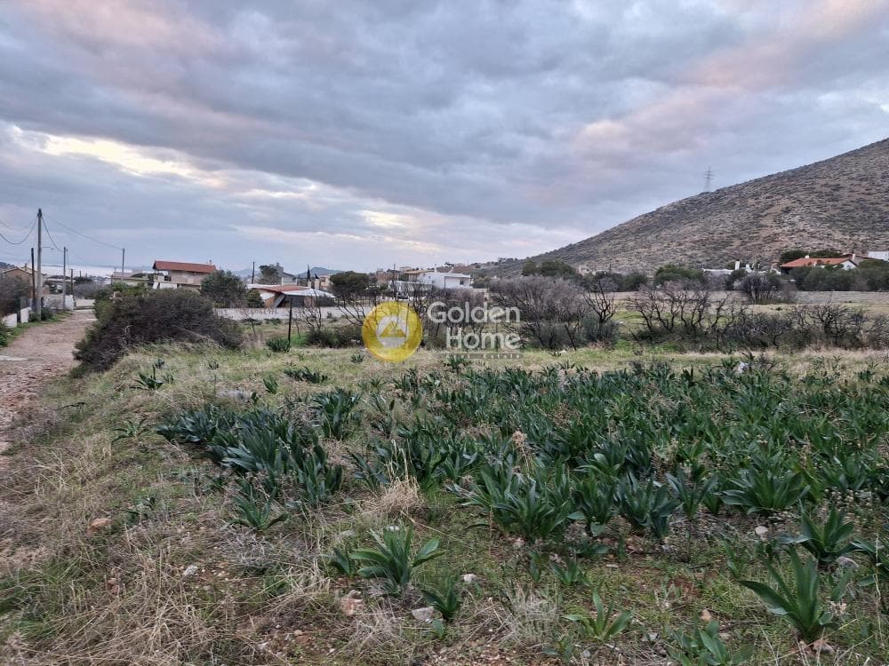 Building Plot in Kalivia, Kalivia Thorikou — Photo 4 of 4