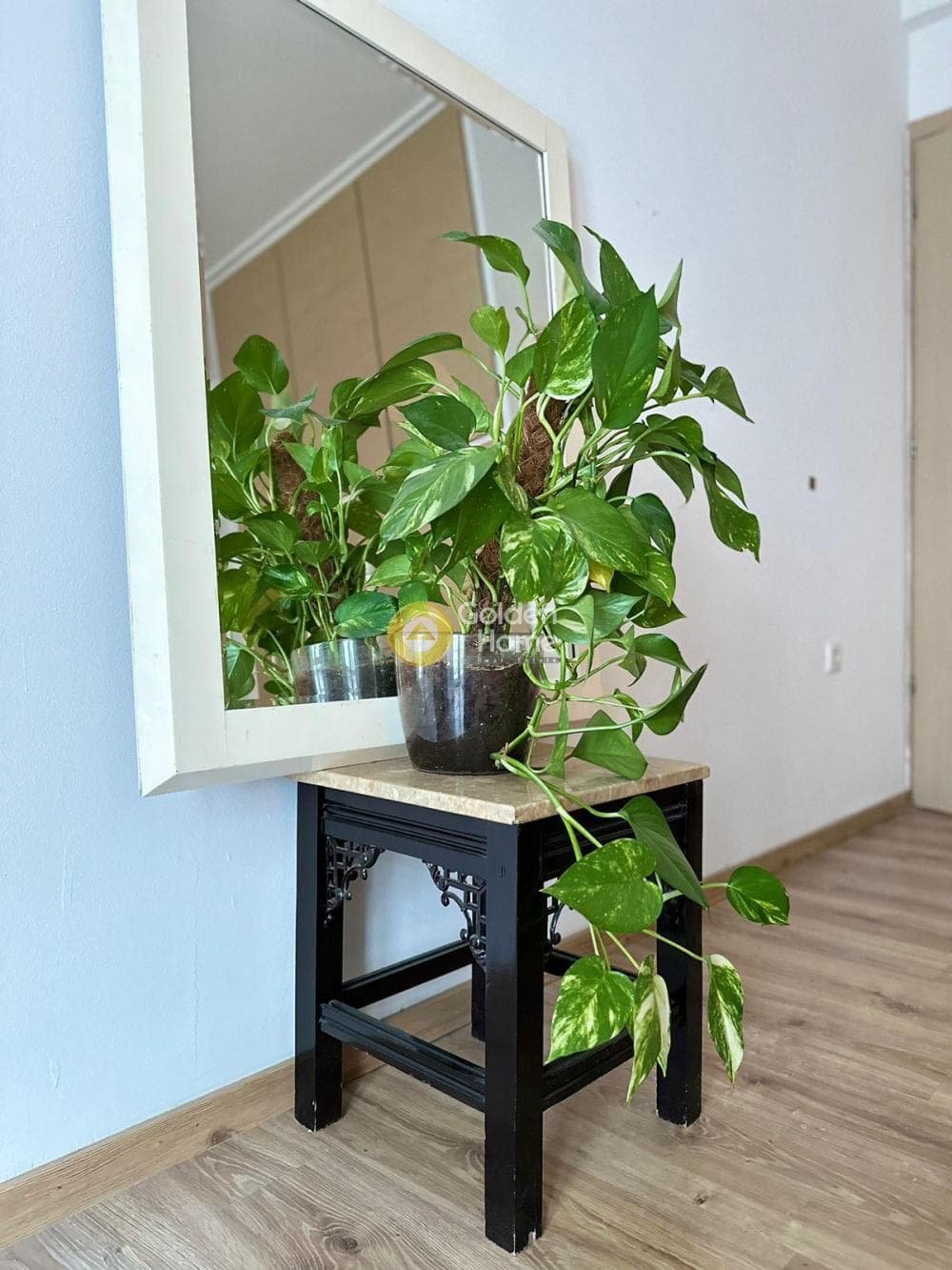 Apartment in Plateia Koliatsou, Patision - Acharnon — Photo 3 of 13