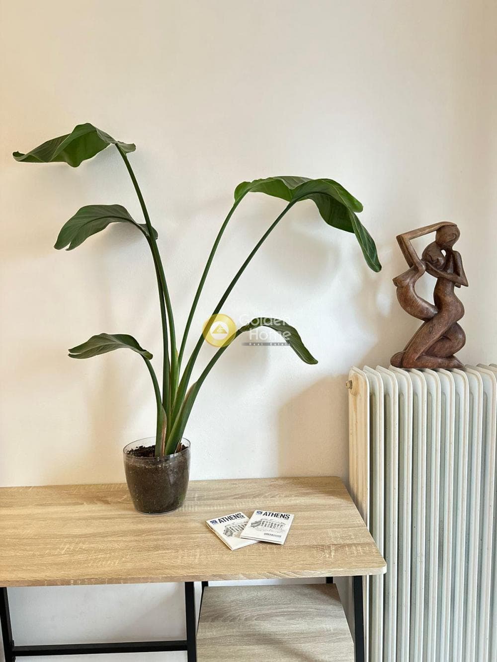 Apartment in Plateia Koliatsou, Patision - Acharnon — Photo 7 of 13