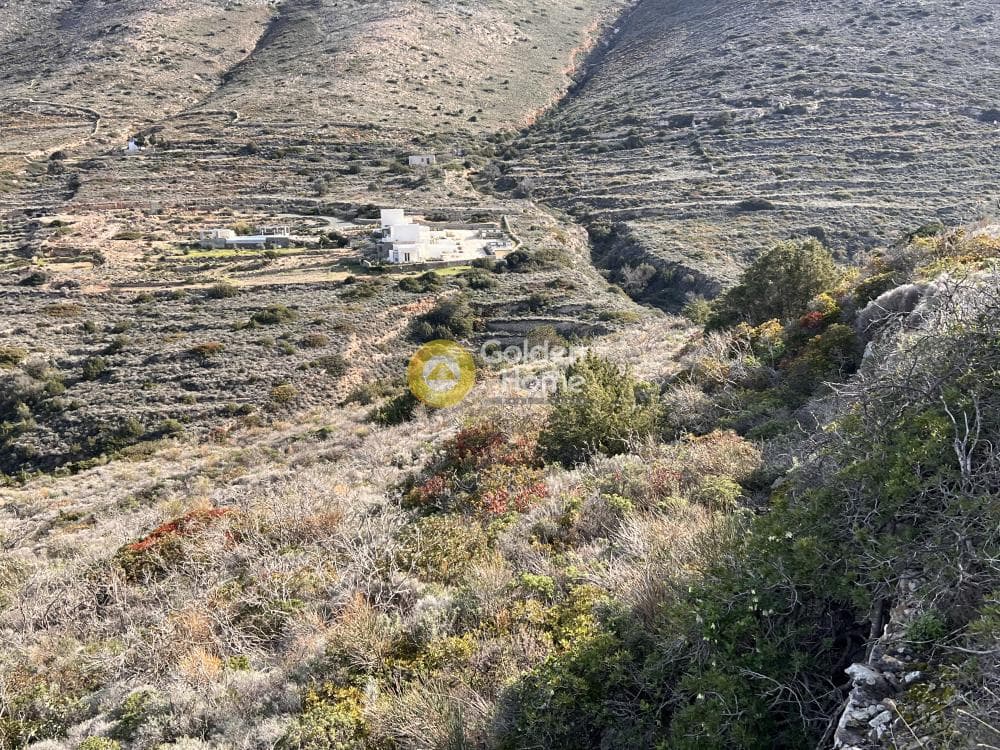 Αγροτεμάχιο στην Μονή Χριστού Δάσους, Πάρος — Φωτογραφία 4 από 8