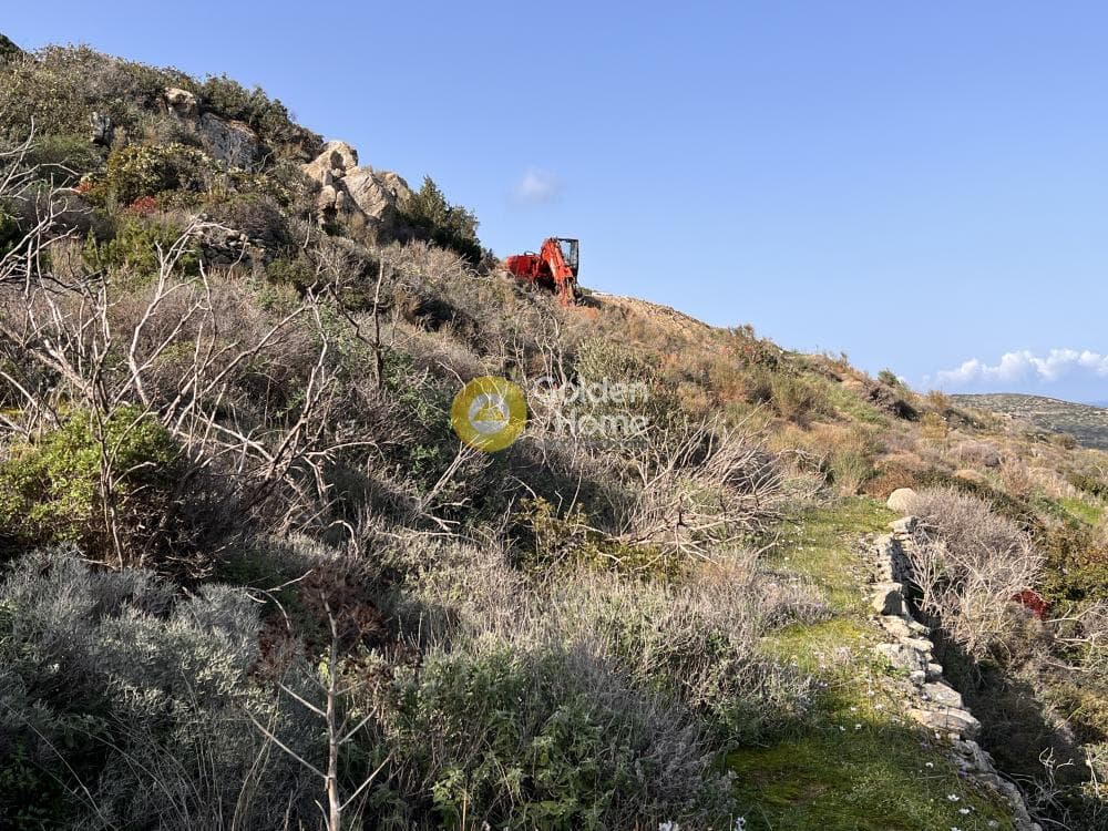 Αγροτεμάχιο στην Μονή Χριστού Δάσους, Πάρος — Φωτογραφία 7 από 8