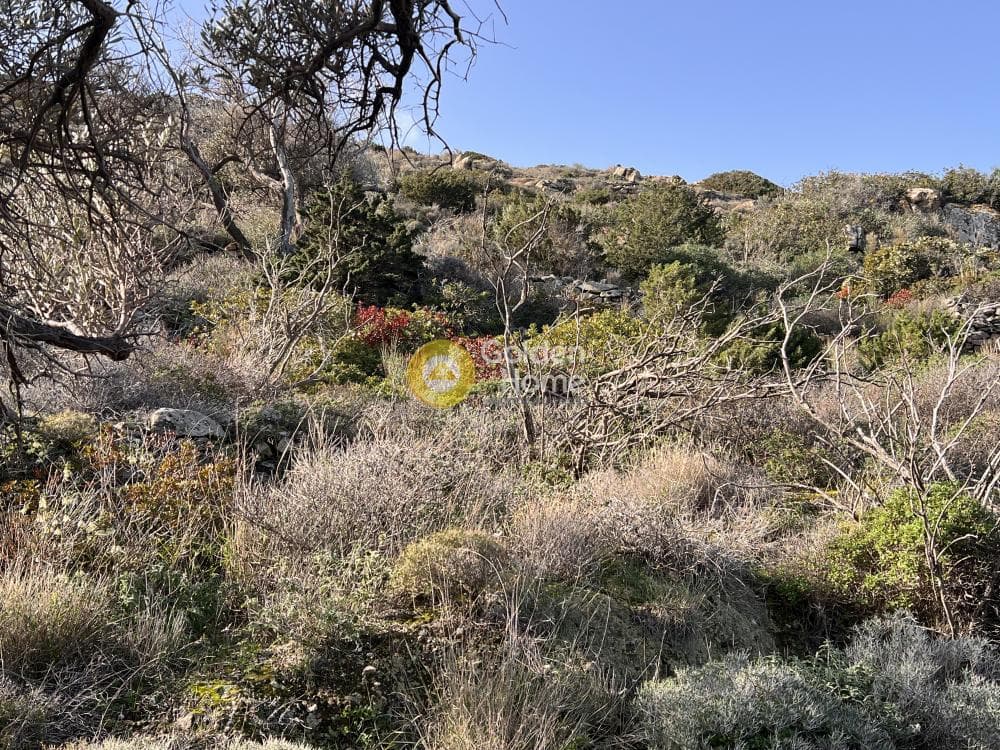 Αγροτεμάχιο στην Μονή Χριστού Δάσους, Πάρος — Φωτογραφία 6 από 8