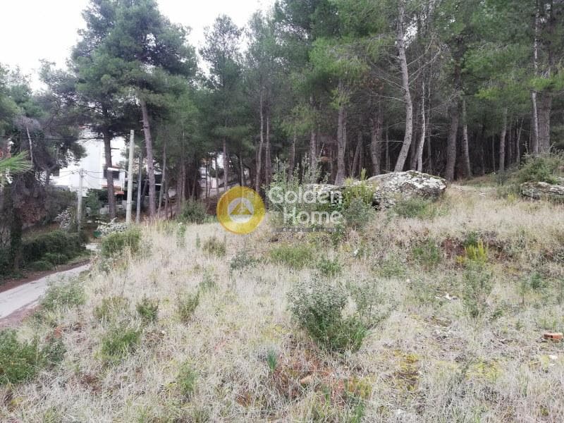 Οικόπεδο στην Δροσιά, Δροσιά — Φωτογραφία 1 από 14