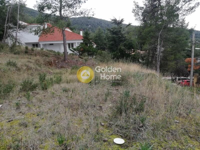 Οικόπεδο στην Δροσιά, Δροσιά — Φωτογραφία 5 από 14