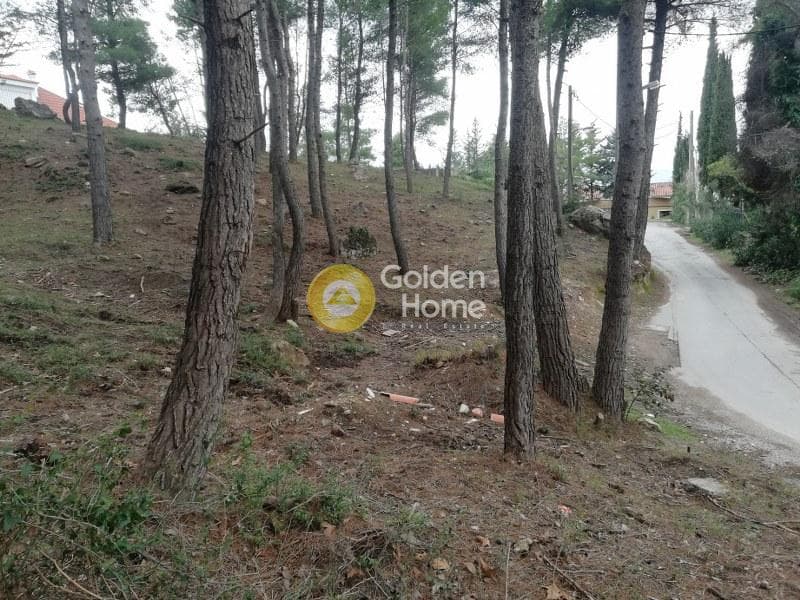 Οικόπεδο στην Δροσιά, Δροσιά — Φωτογραφία 9 από 14