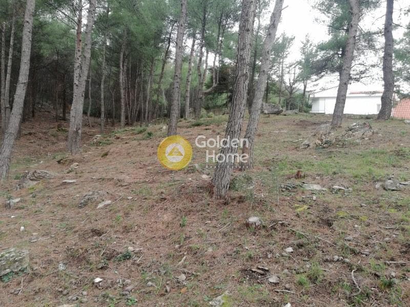 Οικόπεδο στην Δροσιά, Δροσιά — Φωτογραφία 12 από 14