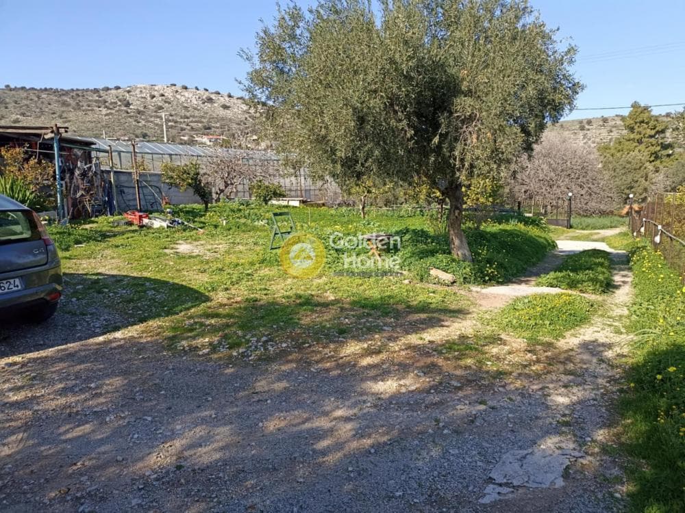 Building Plot in Selinia, Salamina — Photo 2 of 4