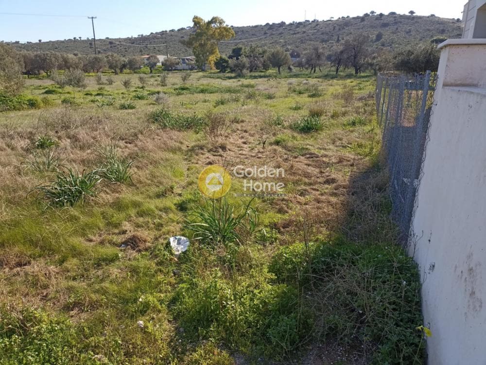 Αγροτεμάχιο στην Ρέστη, Σαλαμίνα — Φωτογραφία 2 από 3