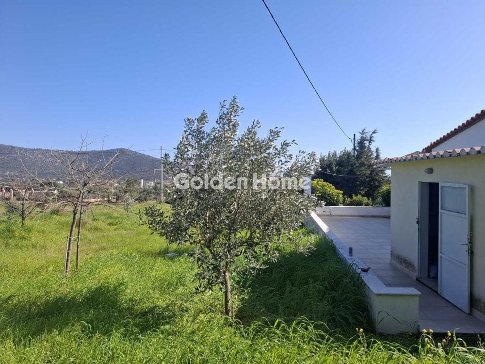House in Ano Souli, Grammatiko — Photo 18 of 22