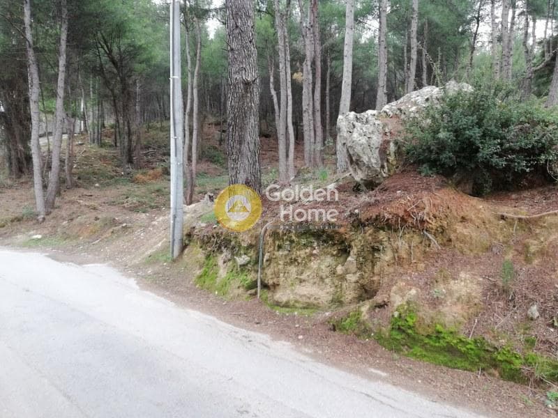 Οικόπεδο στην Δροσιά, Δροσιά — Φωτογραφία 4 από 20