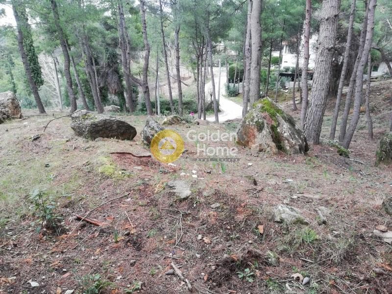 Οικόπεδο στην Δροσιά, Δροσιά — Φωτογραφία 11 από 20