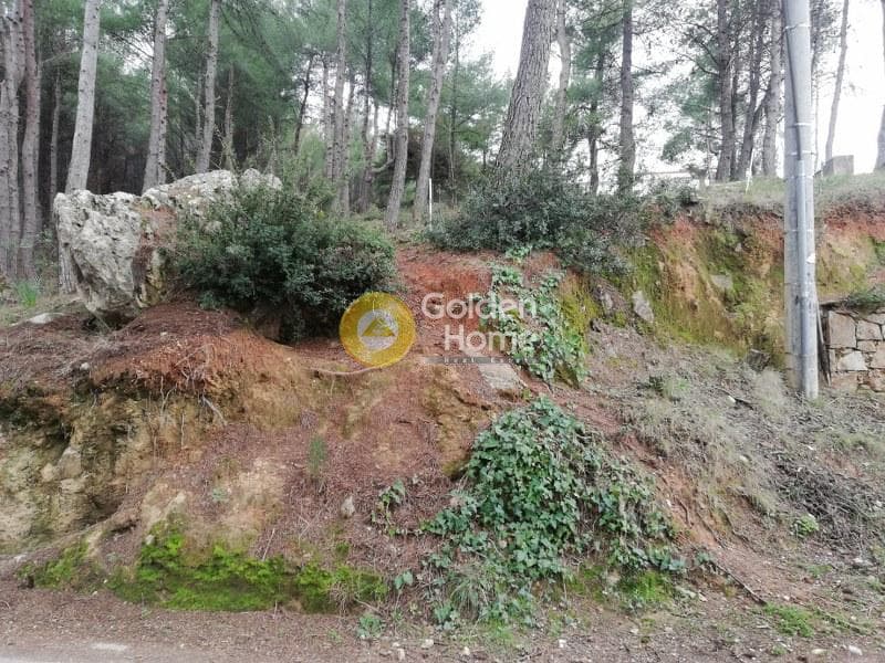 Οικόπεδο στην Δροσιά, Δροσιά — Φωτογραφία 1 από 20