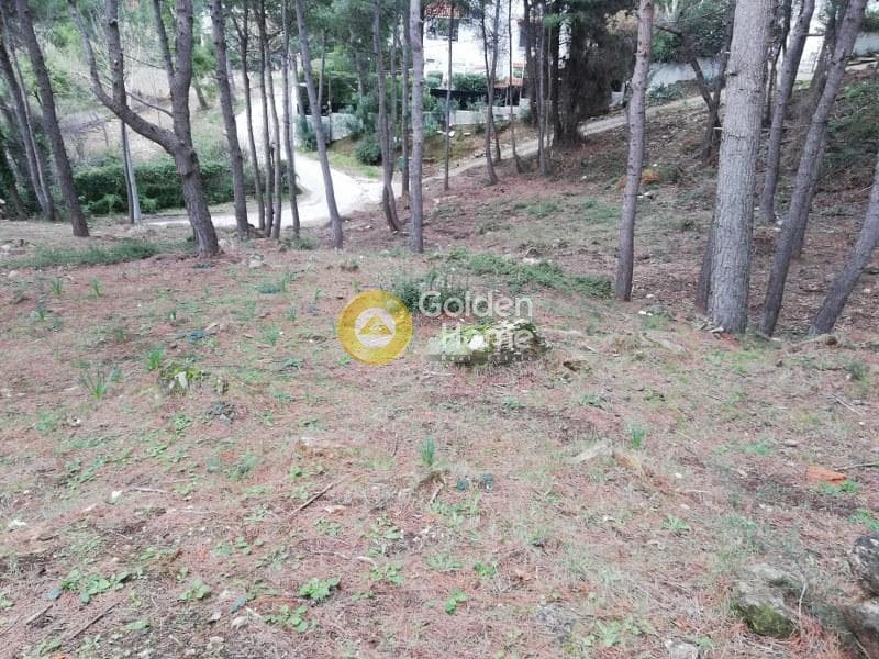 Οικόπεδο στην Δροσιά, Δροσιά — Φωτογραφία 10 από 20