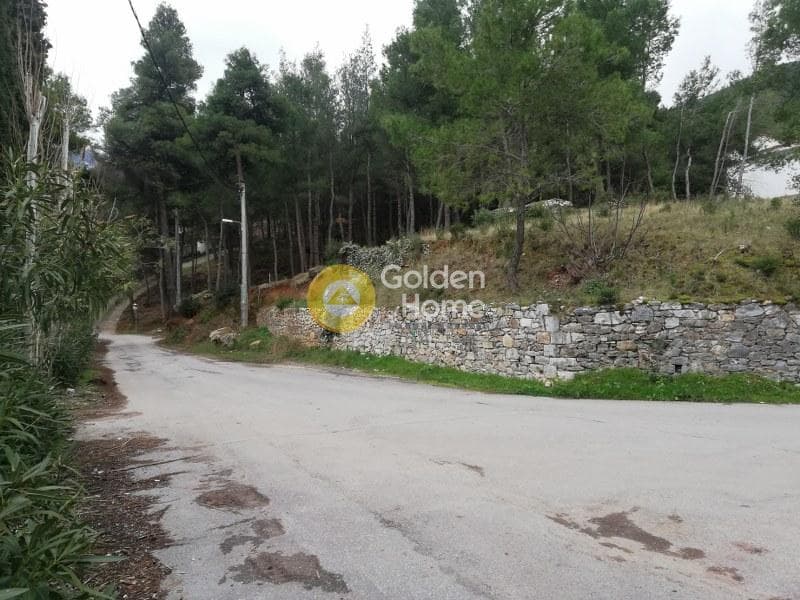 Οικόπεδο στην Δροσιά, Δροσιά — Φωτογραφία 5 από 20