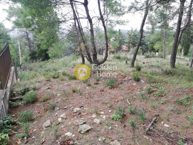 Οικόπεδο στην Δροσιά, Δροσιά — Φωτογραφία 8 από 20